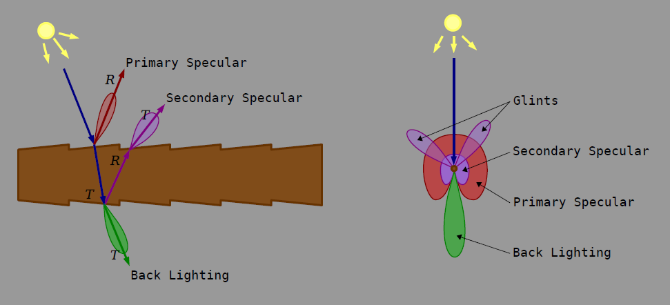 Marschner's reflection model
